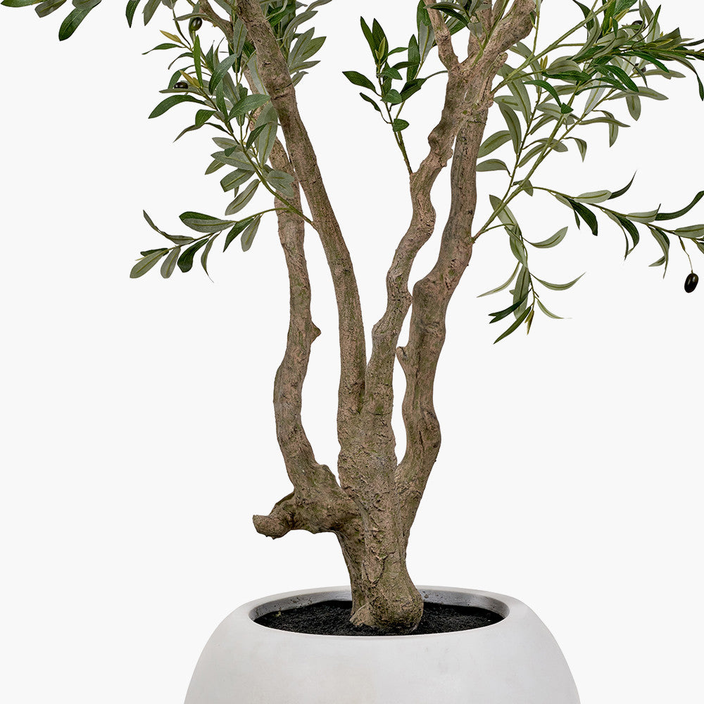 Artificial Olive Tree in White Pot | Extra Large